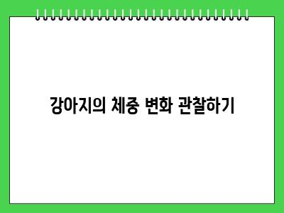 강아지가 건강한지 알아보는 방법 6가지 체크하세요