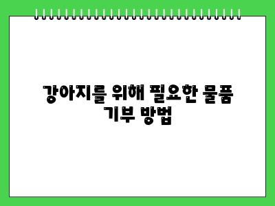 강아지 더이상 못 키울 때 방법은 있습니다