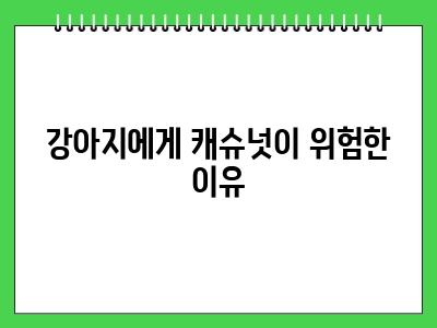 강아지 캐슈넛 먹어도 되나요? 안되는 이유