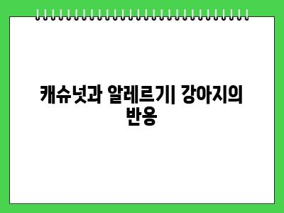 강아지 캐슈넛 먹어도 되나요? 안되는 이유