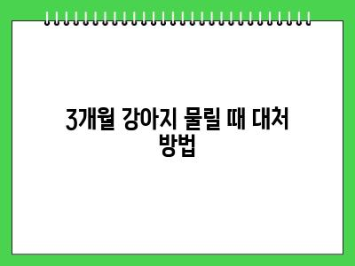 3개월 강아지 무는 습관 이럴 땐 어떡하죠?