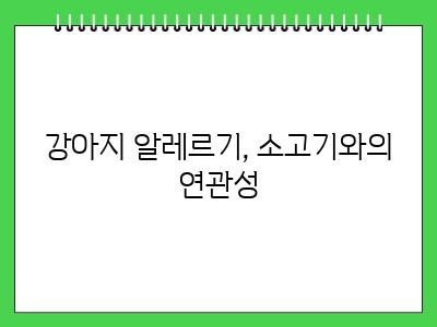 강아지 소고기 먹어도 되나요? 제발 이거 모르면 주지마세요