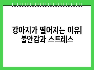 강아지가 떨어요 대부분 이런이유입니다.