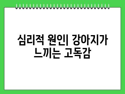강아지가 떨어요 대부분 이런이유입니다.