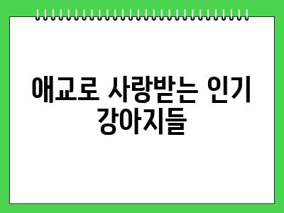 애교 많은 강아지 종류 BEST5