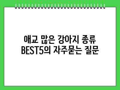애교 많은 강아지 종류 BEST5