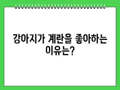 강아지 계란 먹어도 되나요?