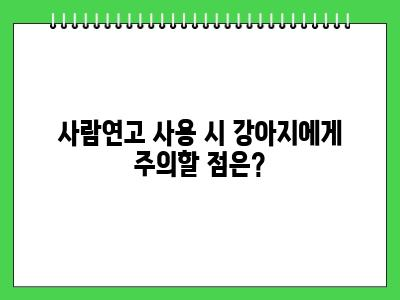 강아지 습진 사람연고 발라도 되나요?