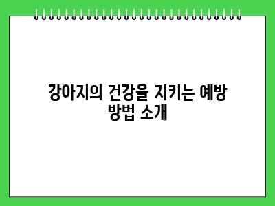 강아지 토 할 때와 응급처치 (이건 꼭 기억하세요!)