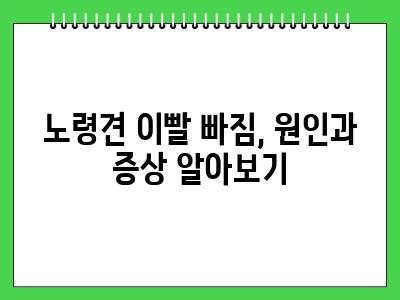 노령견 이빨 빠지는 시기 이때는 꼭 체크하세요