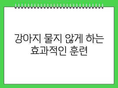 3개월 강아지 무는 습관 이럴 땐 어떡하죠?