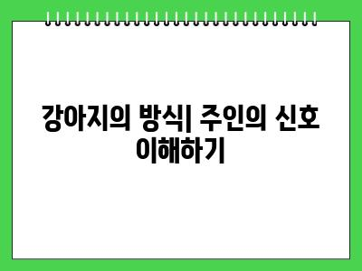 강아지가 떨어요 대부분 이런이유입니다.