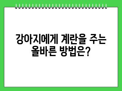 강아지 계란 먹어도 되나요?