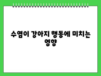 강아지 수염 자르면 큰일납니다