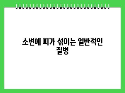 강아지 소변에 피가 섞임 이것 때문?