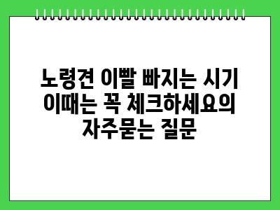 노령견 이빨 빠지는 시기 이때는 꼭 체크하세요