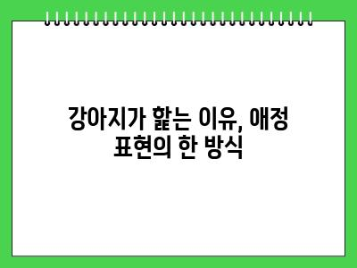 자꾸 강아지가 핥는이유 3가지