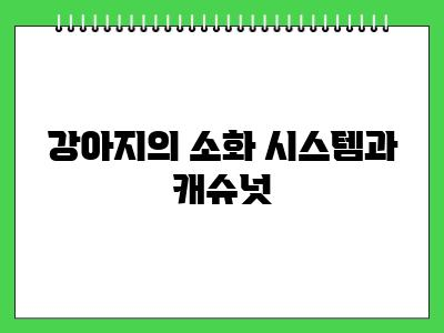 강아지 캐슈넛 먹어도 되나요? 안되는 이유