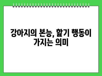 자꾸 강아지가 핥는이유 3가지