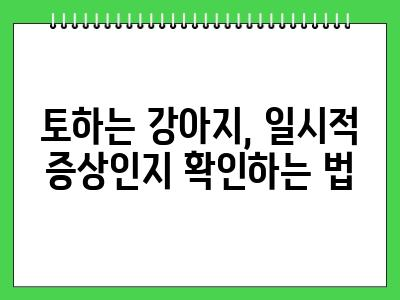 강아지 토 할 때와 응급처치 (이건 꼭 기억하세요!)