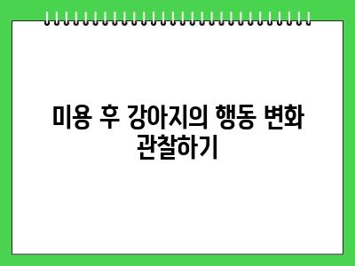 강아지미용후 발바닥 핥아요