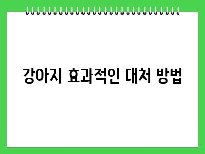 강아지 발정 대처 방법 익숙해지면 별거 아니에요