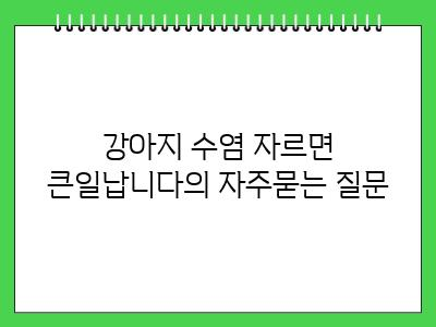 강아지 수염 자르면 큰일납니다