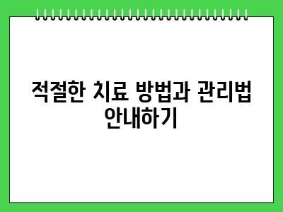 노령견 이빨 빠지는 시기 이때는 꼭 체크하세요
