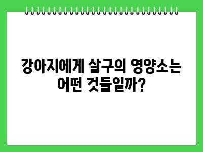 강아지 살구 먹어도 되나요?