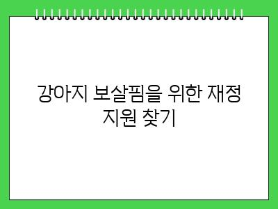 강아지 더이상 못 키울 때 방법은 있습니다