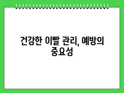 노령견 이빨 빠지는 시기 이때는 꼭 체크하세요