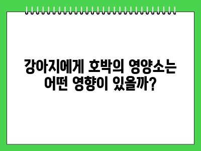 강아지 호박 먹어도 되나요?