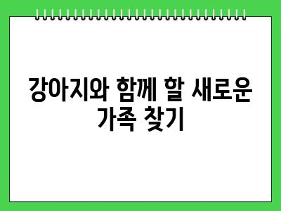 강아지 더이상 못 키울 때 방법은 있습니다