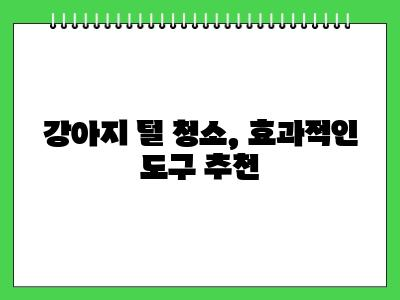 강아지 털 알레르기 집안에 이것부터 관리하세요