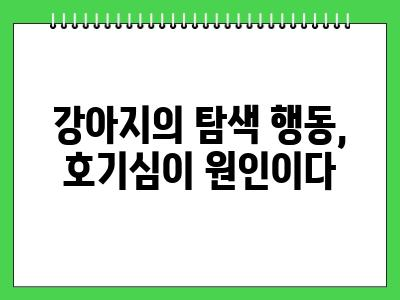 자꾸 강아지가 핥는이유 3가지