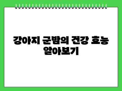 강아지 군밤 먹어도 될까? 급여 시 주의사항