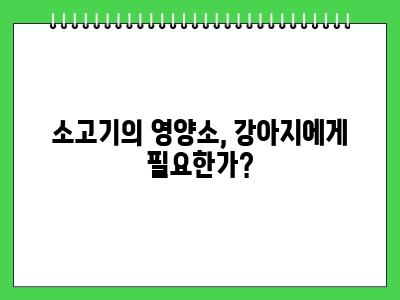 강아지 소고기 먹어도 되나요? 제발 이거 모르면 주지마세요