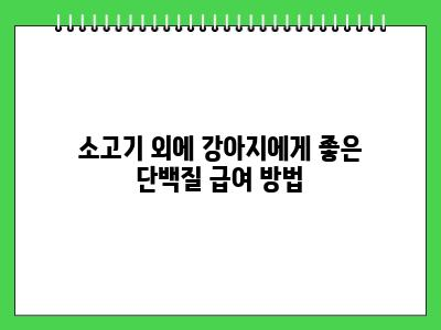 강아지 소고기 먹어도 되나요? 제발 이거 모르면 주지마세요
