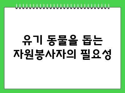 유기 동물 해결방안 이대로 가다간 큰일납니다.