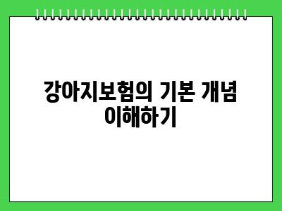 강아지보험 추천 처음이시라면 우선 이렇게 해보세요