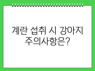 강아지 계란 먹어도 되나요?