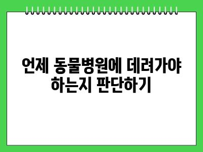 강아지 토 할 때와 응급처치 (이건 꼭 기억하세요!)