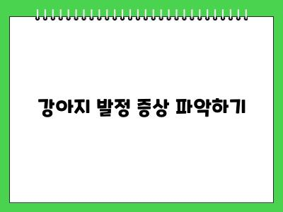 강아지 발정 대처 방법 익숙해지면 별거 아니에요