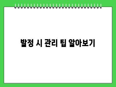 강아지 발정 대처 방법 익숙해지면 별거 아니에요
