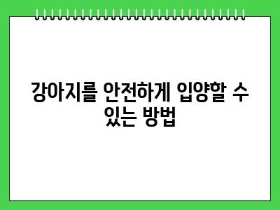 강아지 더이상 못 키울 때 방법은 있습니다