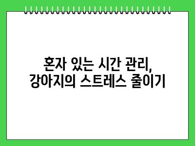 1인가구 강아지 키우기 최소한 이것만 지켜주세요