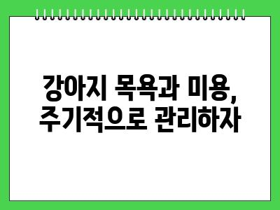 강아지 털 알레르기 집안에 이것부터 관리하세요