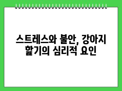 자꾸 강아지가 핥는이유 3가지