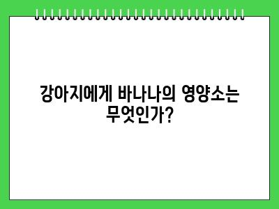 강아지 바나나 먹어도 되나요?