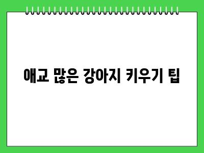 애교 많은 강아지 종류 BEST5